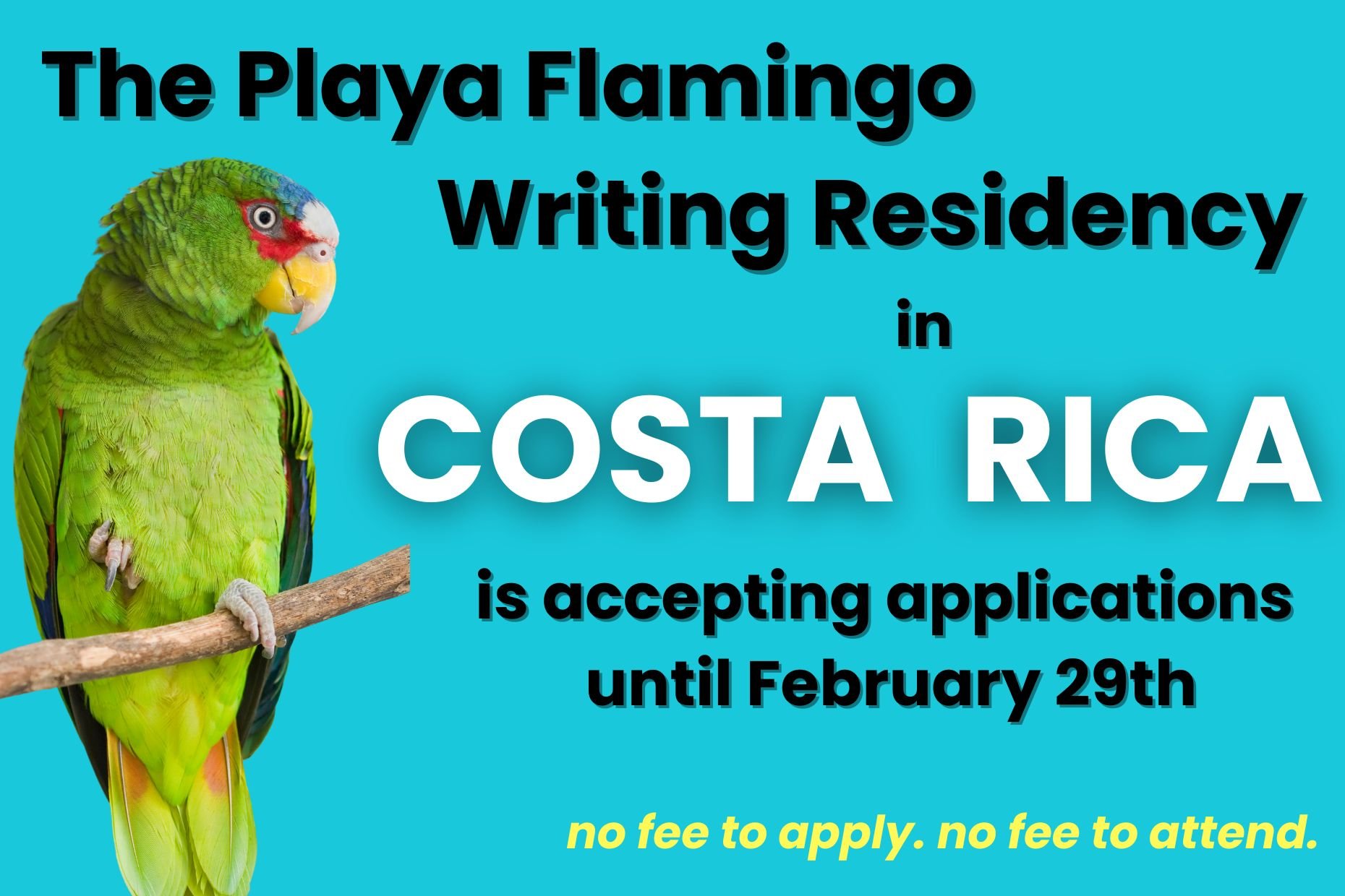 The Playa Flamingo Writing Residency in Costa Rica